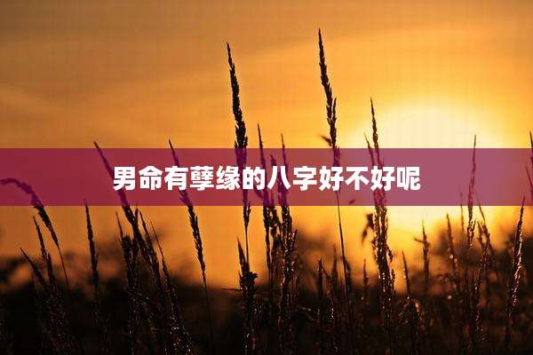 男命有孽缘的八字好不好呢