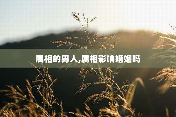 属相的男人,属相影响婚姻吗