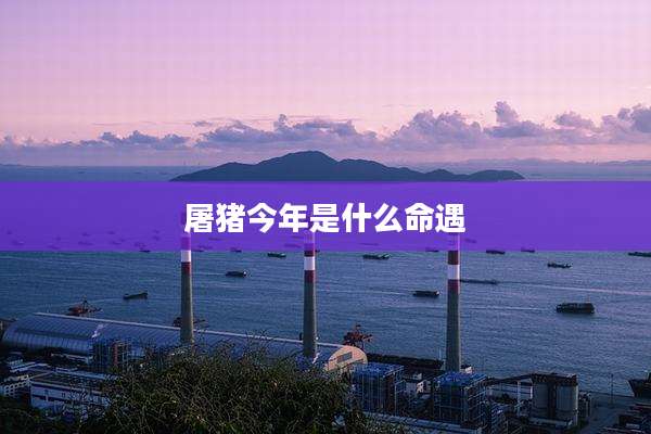 屠猪今年是什么命遇