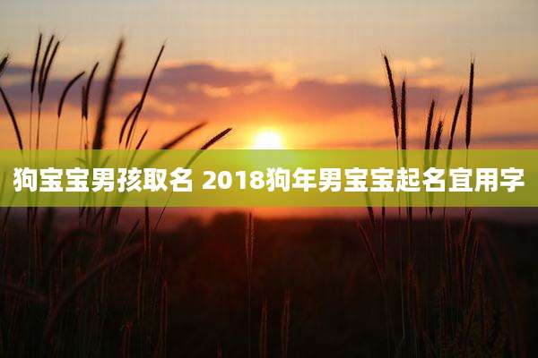 狗宝宝男孩取名 2018狗年男宝宝起名宜用字
