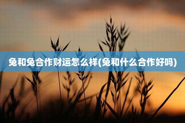 兔和兔合作财运怎么样(兔和什么合作好吗)