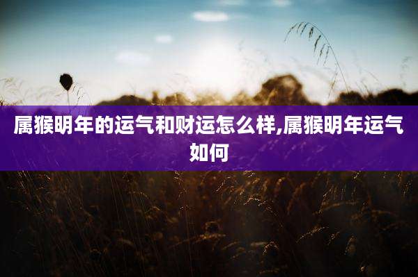 属猴明年的运气和财运怎么样,属猴明年运气如何