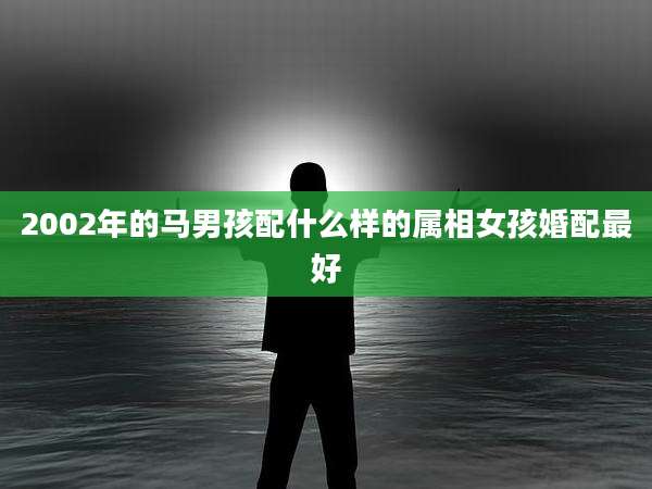 2002年的马男孩配什么样的属相女孩婚配最好