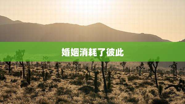 婚姻消耗了彼此