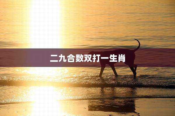 二九合数双打一生肖