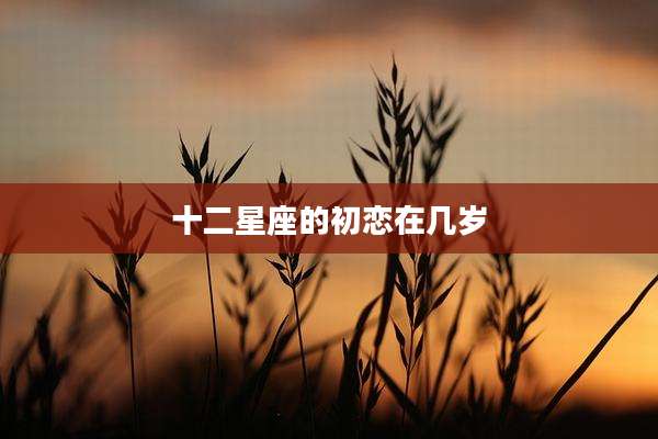 十二星座的初恋在几岁