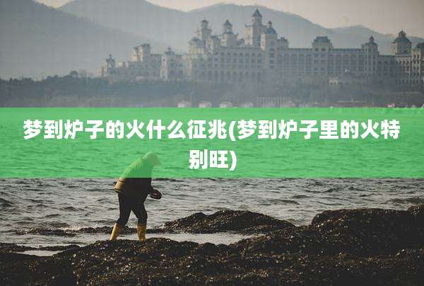 梦到炉子的火什么征兆(梦到炉子里的火特别旺)