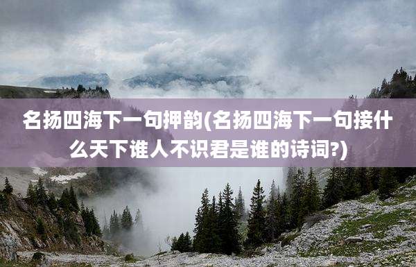 名扬四海下一句押韵(名扬四海下一句接什么天下谁人不识君是谁的诗词?)