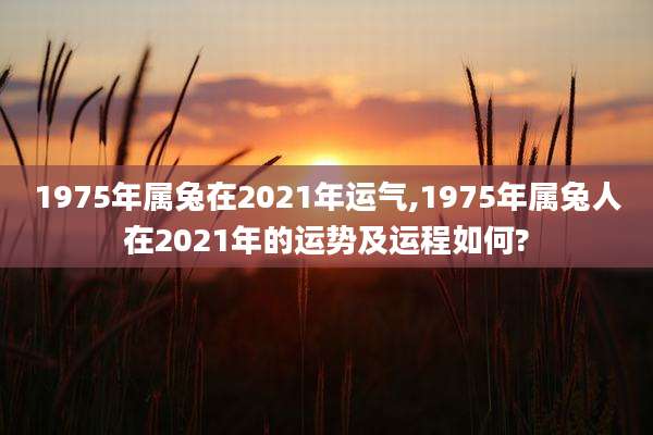 1975年属兔在2021年运气,1975年属兔人在2021年的运势及运程如何?