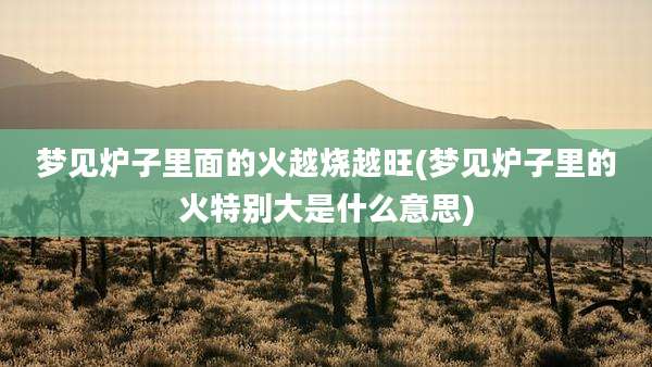 梦见炉子里面的火越烧越旺(梦见炉子里的火特别大是什么意思)