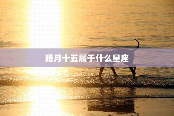 腊月十五属于什么星座