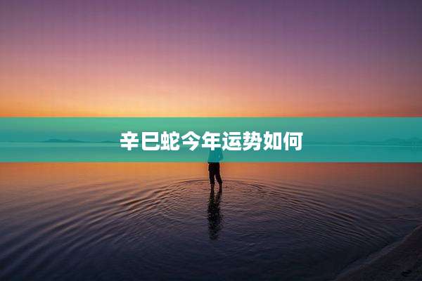 辛巳蛇今年运势如何