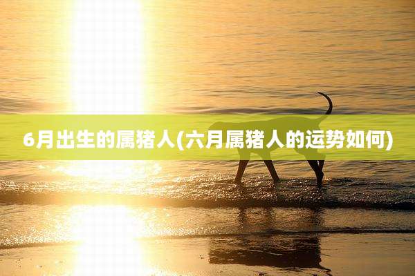 6月出生的属猪人(六月属猪人的运势如何)