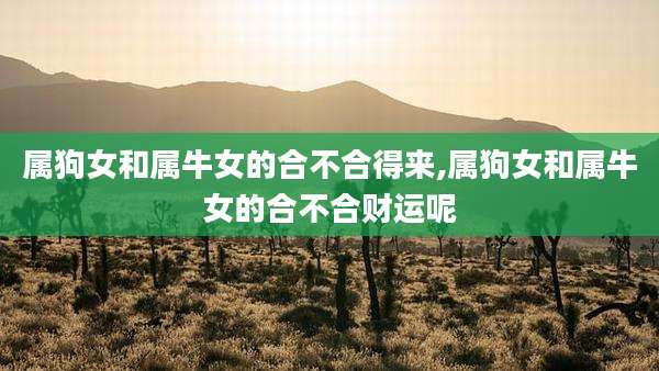 属狗女和属牛女的合不合得来,属狗女和属牛女的合不合财运呢