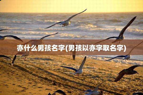 亦什么男孩名字(男孩以亦字取名字)