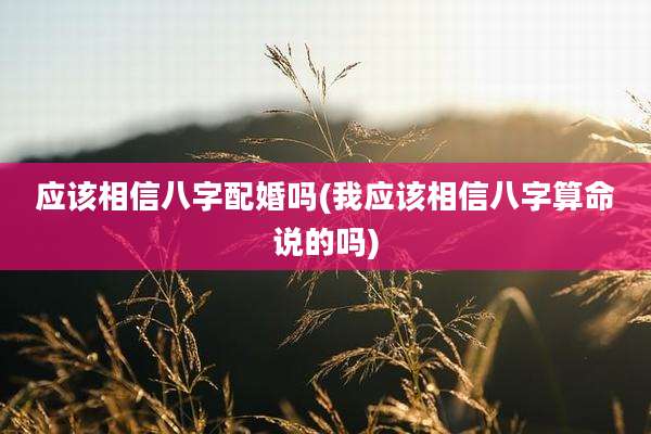 应该相信八字配婚吗(我应该相信八字算命说的吗)