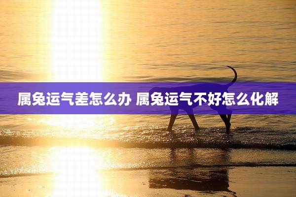 属兔运气差怎么办 属兔运气不好怎么化解