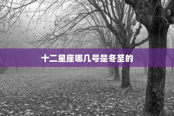 十二星座哪几号是冬至的