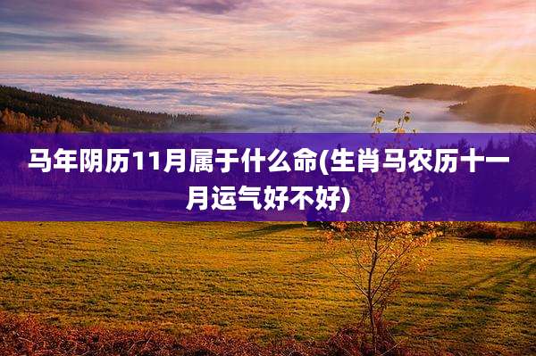 马年阴历11月属于什么命(生肖马农历十一月运气好不好)