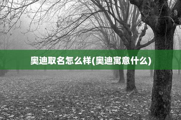 奥迪取名怎么样(奥迪寓意什么)