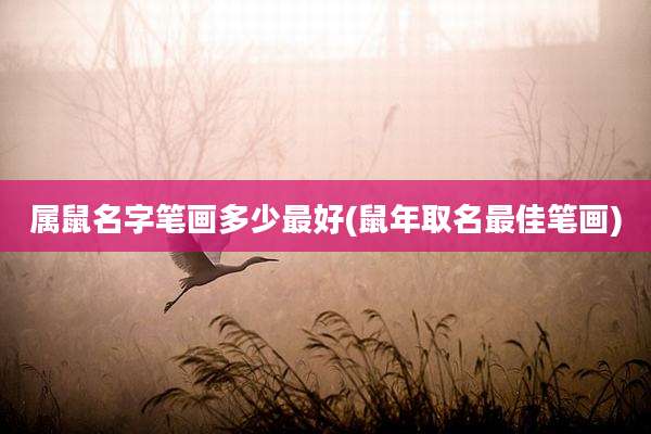 属鼠名字笔画多少最好(鼠年取名最佳笔画)