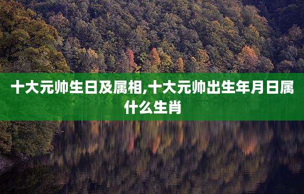 十大元帅生日及属相,十大元帅出生年月日属什么生肖
