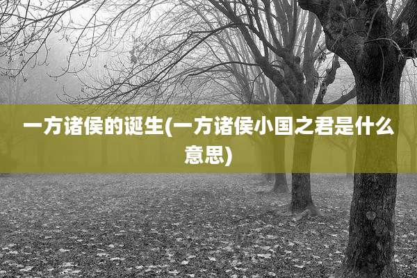 一方诸侯的诞生(一方诸侯小国之君是什么意思)