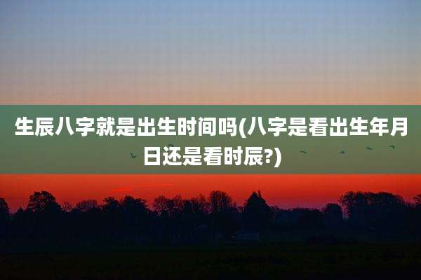 生辰八字就是出生时间吗(八字是看出生年月日还是看时辰?)