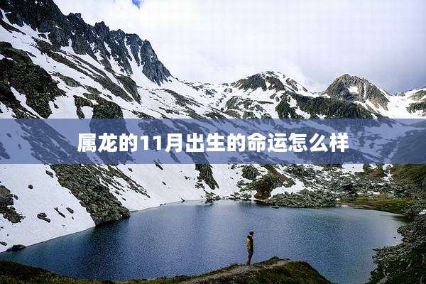 属龙的11月出生的命运怎么样