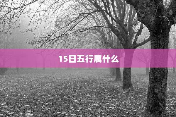 15日五行属什么