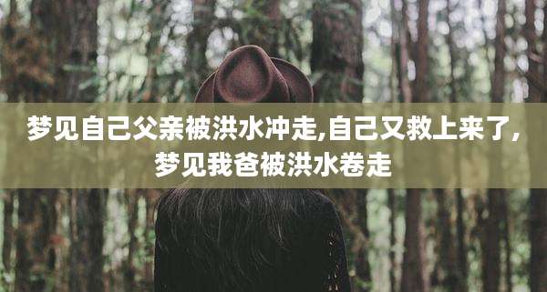 梦见自己父亲被洪水冲走,自己又救上来了,梦见我爸被洪水卷走