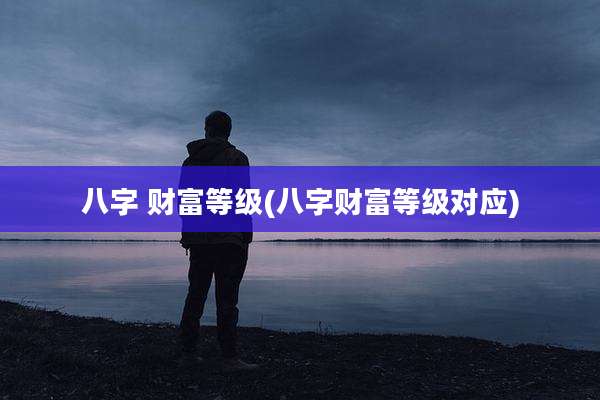 八字 财富等级(八字财富等级对应)