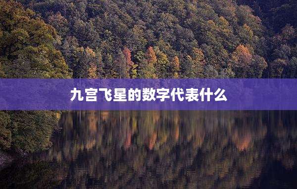 九宫飞星的数字代表什么