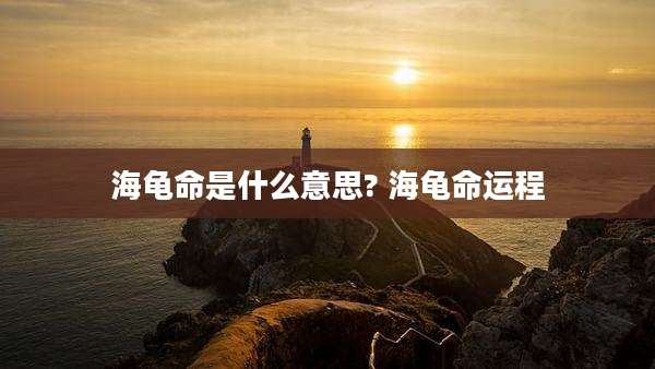海龟命是什么意思? 海龟命运程