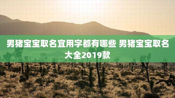 男猪宝宝取名宜用字都有哪些 男猪宝宝取名大全2019款