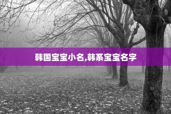 韩国宝宝小名,韩系宝宝名字