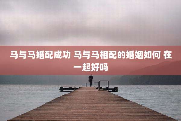 马与马婚配成功 马与马相配的婚姻如何 在一起好吗