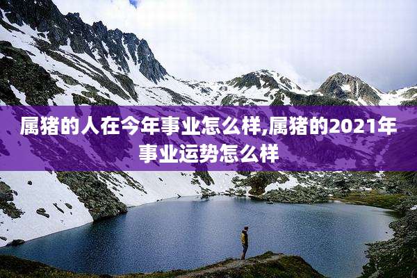 属猪的人在今年事业怎么样,属猪的2021年事业运势怎么样