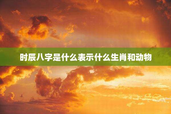 时辰八字是什么表示什么生肖和动物