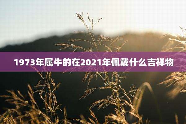 1973年属牛的在2021年佩戴什么吉祥物