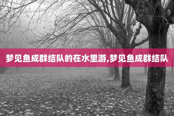梦见鱼成群结队的在水里游,梦见鱼成群结队