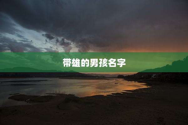 带雄的男孩名字