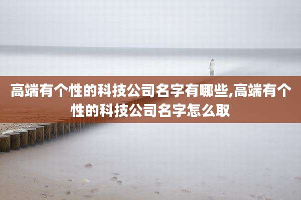 高端有个性的科技公司名字有哪些,高端有个性的科技公司名字怎么取
