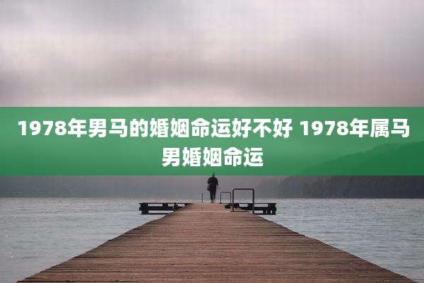 1978年男马的婚姻命运好不好 1978年属马男婚姻命运