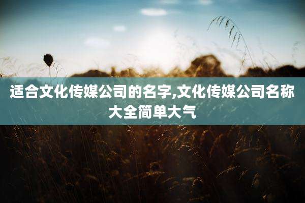 适合文化传媒公司的名字,文化传媒公司名称大全简单大气