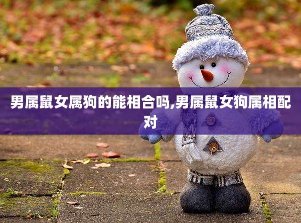 男属鼠女属狗的能相合吗,男属鼠女狗属相配对