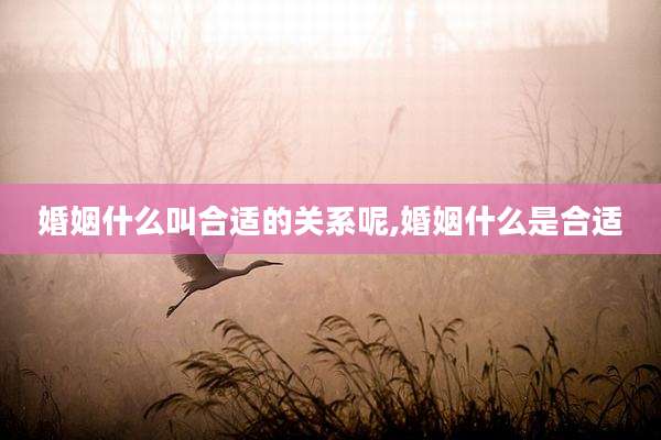 婚姻什么叫合适的关系呢,婚姻什么是合适