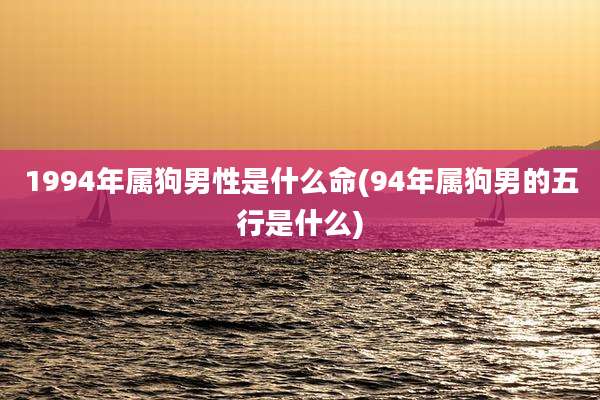 1994年属狗男性是什么命(94年属狗男的五行是什么)