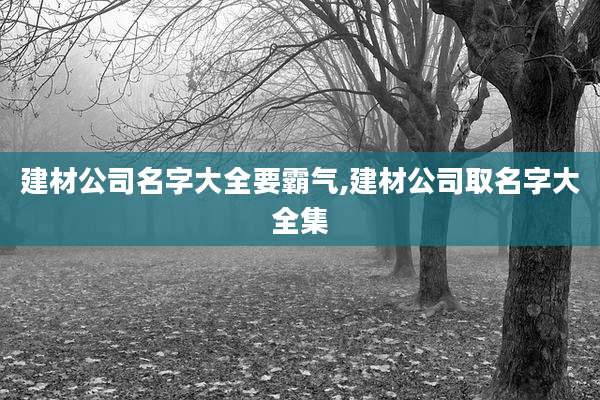 建材公司名字大全要霸气,建材公司取名字大全集