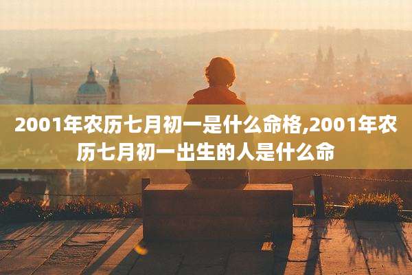 2001年农历七月初一是什么命格,2001年农历七月初一出生的人是什么命